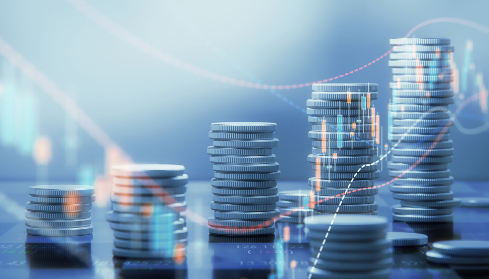 Oversikt: Årsregnskap 2024