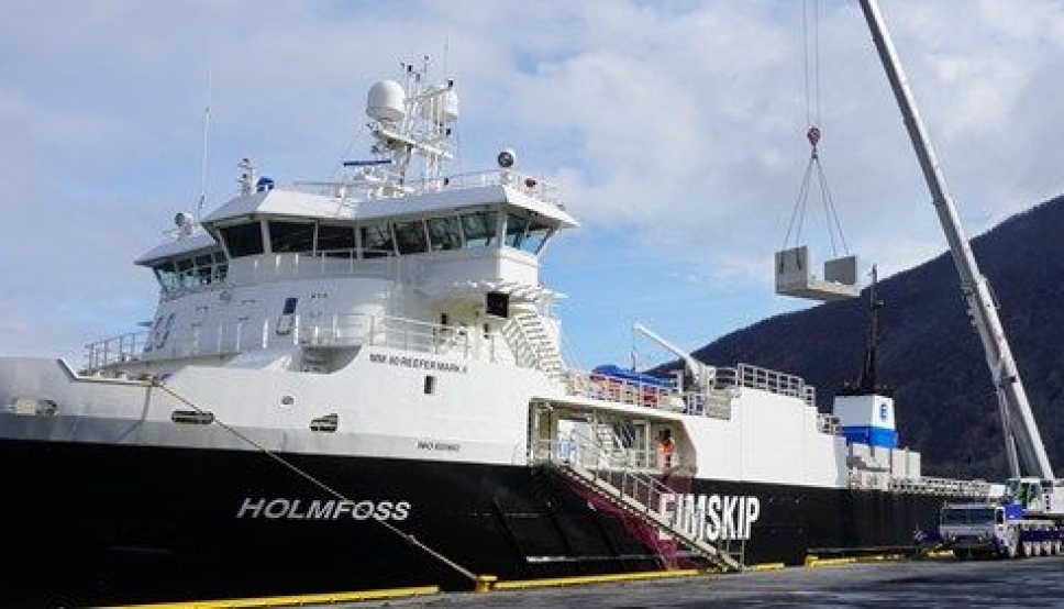 Narvik er godsknutepunktet for Nord-Norge. Narvik-terminalen er knutepunktet med jernbane helt til kaikanten og med Ofotbanen som en hovedpulsåre for gods til og fra den nordlige landsdel.
