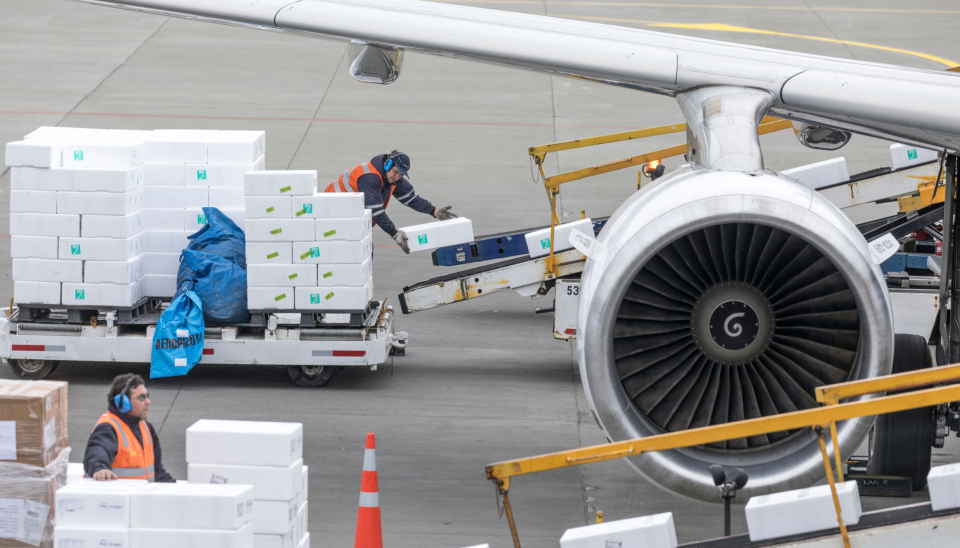 Bergen Seafood har flyttet virksomheten til logistikk-navet Gardermoen for utflygning av fisk til sine nye markeder i Sør-Kina og Sør-Øst Asia.