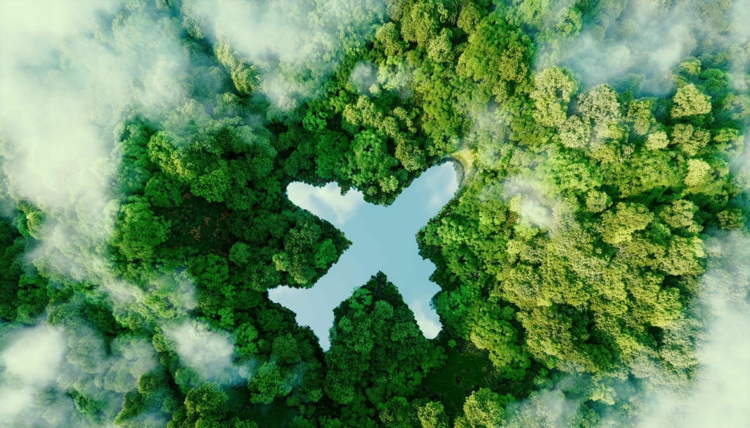 Luftfarten er miljøversting med store utslipp, men de sentrale aktørene har et luftig mål om å gjøre flyfrakten bærekraftig innen 2050.