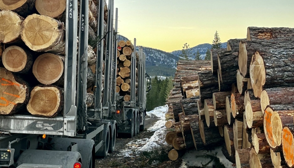 Tømmertransporter er tunge og bilene har et uregelmessig kjøremønster, og egner seg derfor godt for hybrid drift, mener Lasse Bjørkhaug, daglig leder i Brudeli.