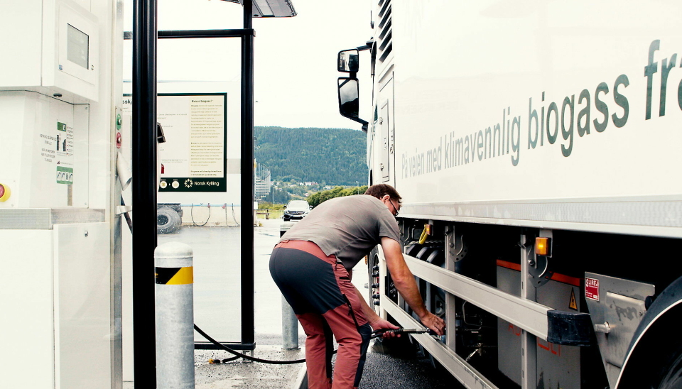 Biogass, produsert fra avfall fra eget rugeri, brukes på tanken til Gildset Transport som kjører for Norsk Kylling.