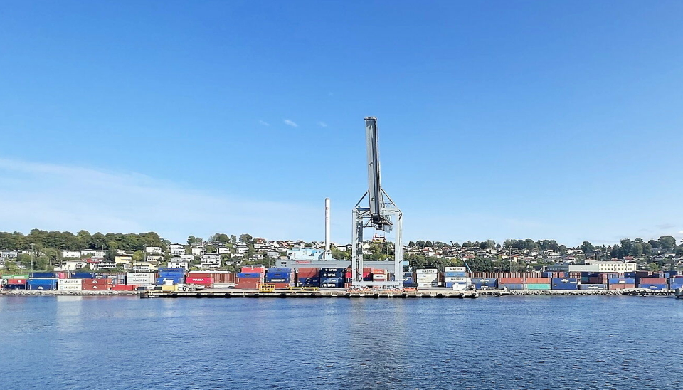Moss Havn er en av få havner i Oslofjorden med litt vekst i 2023, selv om det akkurat denne dagen var stille i containerhavna.