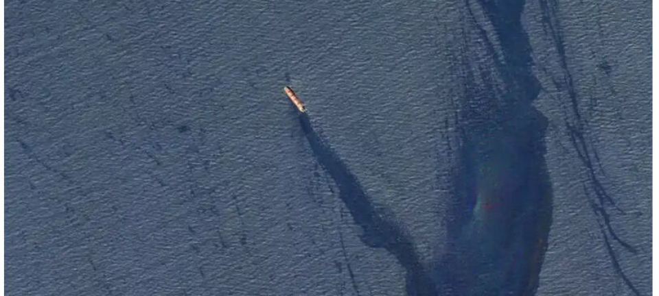 Miljøkrise i Rødehavet - skip lastet med kunstgjødsel senket