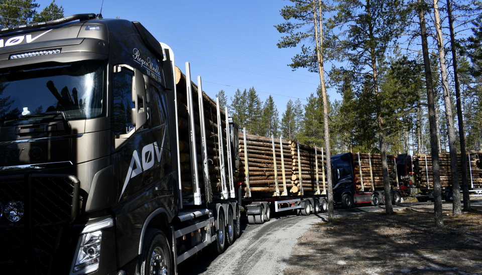 Statskog avvirket 276.000 m³ tømmer i 2023. Dette er en økning på 26 000 m³ fra 2022.