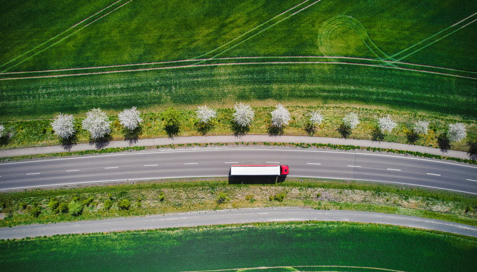 Lav betalingsvilje hos söta bror