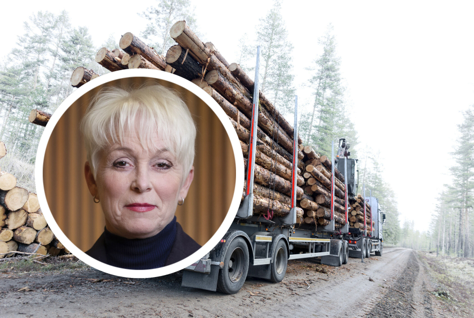 Heidi Finstad, administrerende direktør i bransjeorganisasjonen Treindustrien.