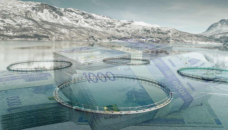 Rekordhøy sjømateksport i tredje kvartal